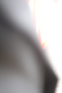 IMG 3840