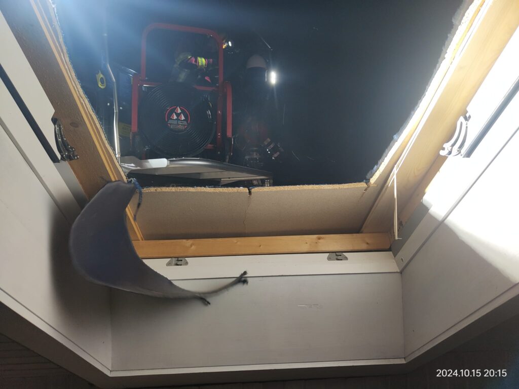 IMG 20241015 WA0007