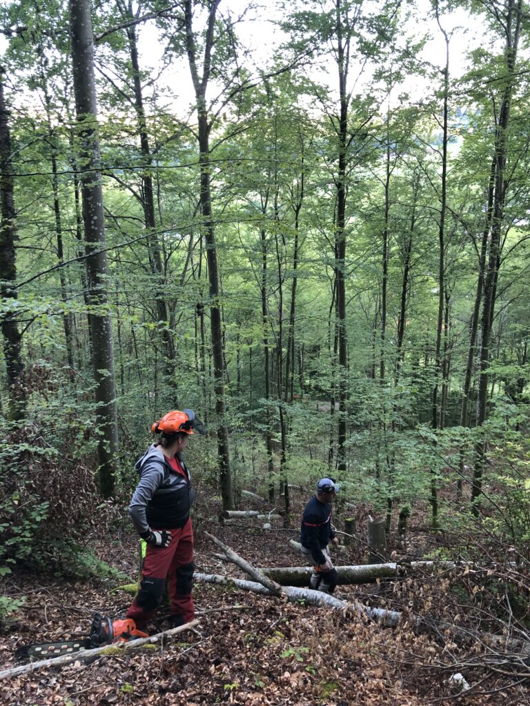 IMG 1250